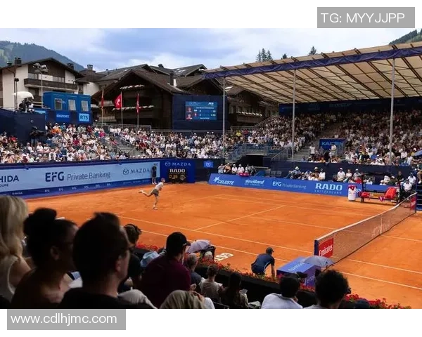 张敏网球生涯回顾与展望：从赛场到人生的精彩对话