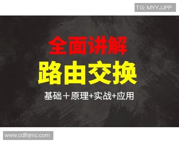 深入分析杭州乒乓球队包夹打法的战术特点与实战应用